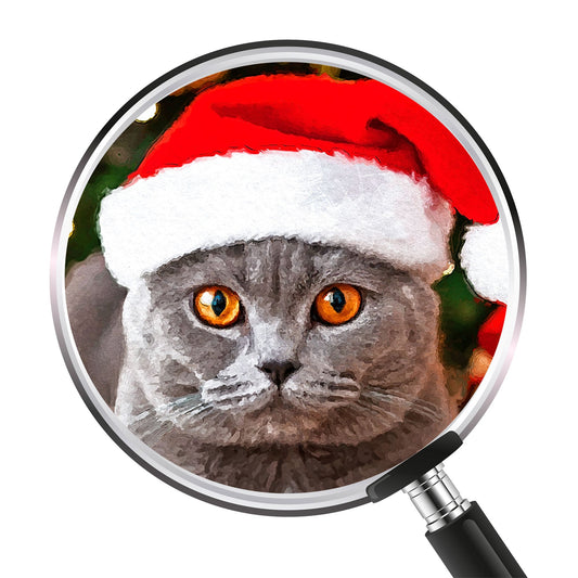 Коледен персонализиран портрет. Код: 38 - Artpawstudio