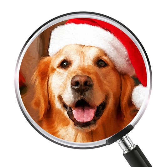 Коледен персонализиран портрет. Код: 41 - Artpawstudio