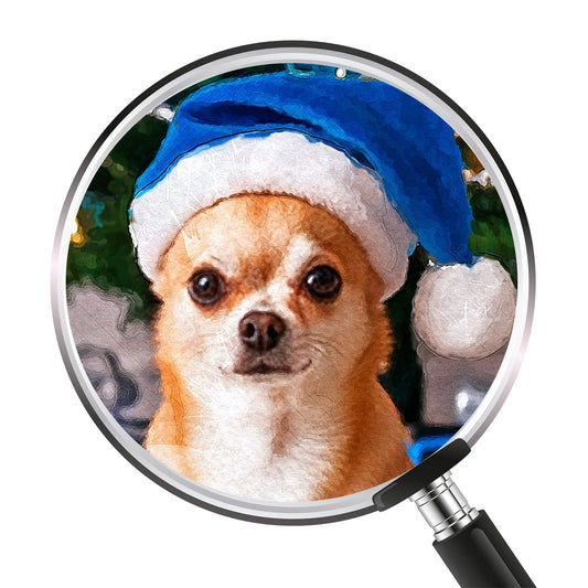 Коледен персонализиран портрет. Код: 44 - Artpawstudio