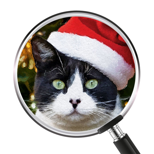 Коледен персонализиран портрет. Код: 48 - Artpawstudio