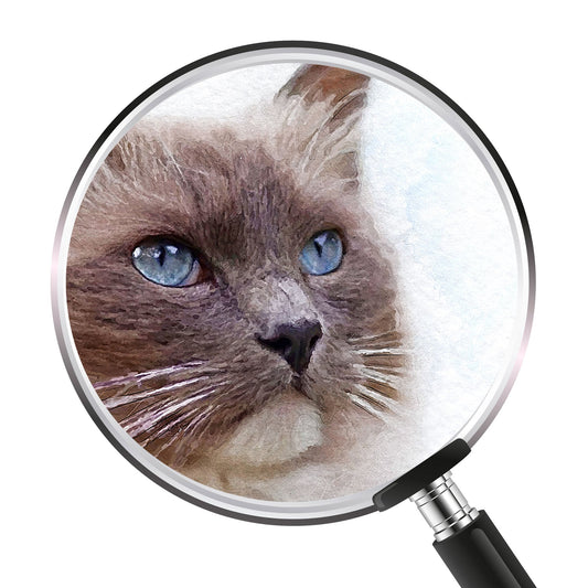 Персонализиран портрет класически. Код: 19 - Artpawstudio