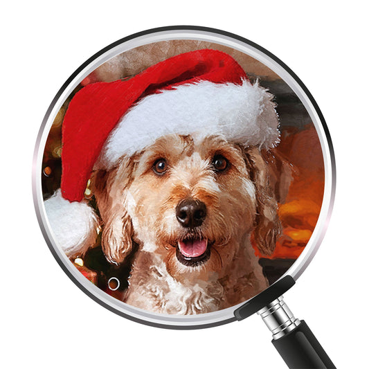 Коледен персонализиран портрет. Код: 01 - Artpawstudio