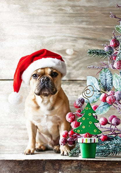 Коледен персонализиран портрет. Код: 25 - Artpawstudio