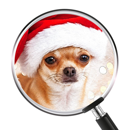 Коледен персонализиран портрет. Код: 36 - Artpawstudio