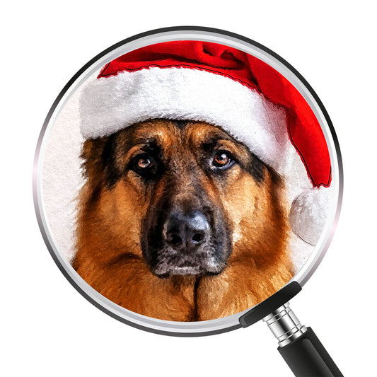 Коледен персонализиран портрет. Код: 43 - Artpawstudio