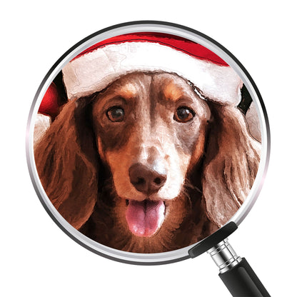 Коледен персонализиран портрет. Код: 46 - Artpawstudio