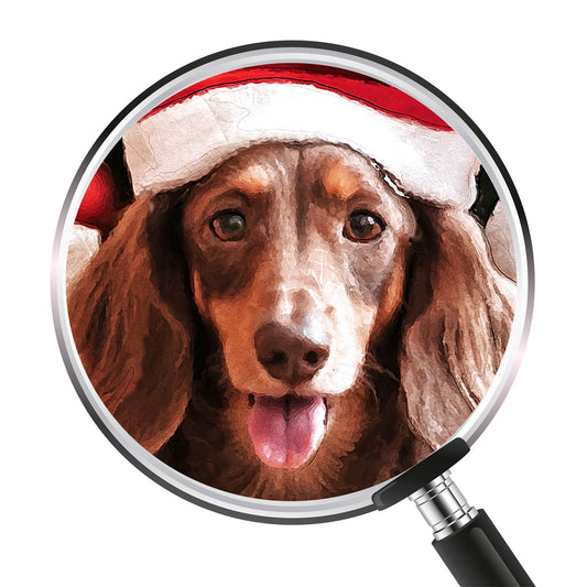 Коледен персонализиран портрет. Код: 46 - Artpawstudio