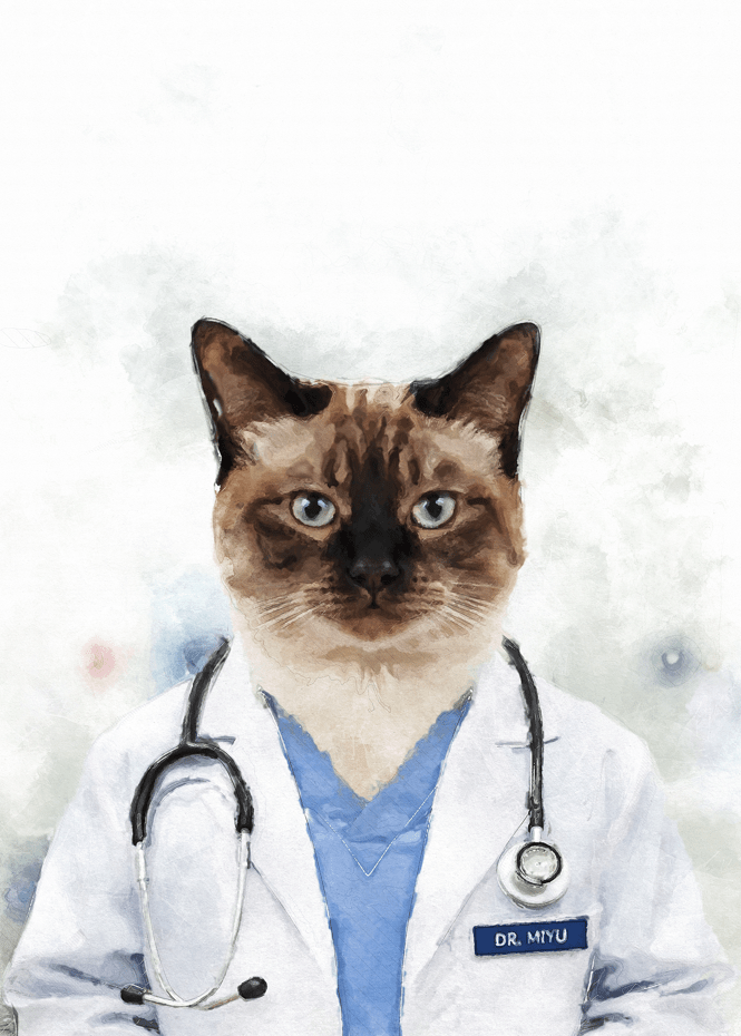 Персонализиран портрет доктор. Код:29 - Artpawstudio