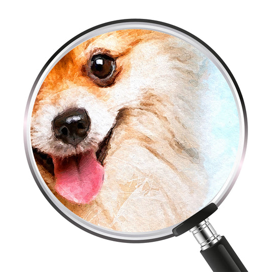 Персонализиран портрет класически. Код: 21 - Artpawstudio