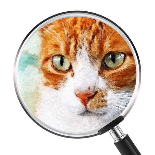 Персонализиран портрет класически. Код: 22 - Artpawstudio