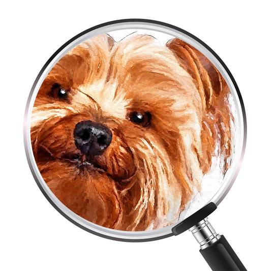 Персонализиран портрет стандартен. Код: 18 - Artpawstudio